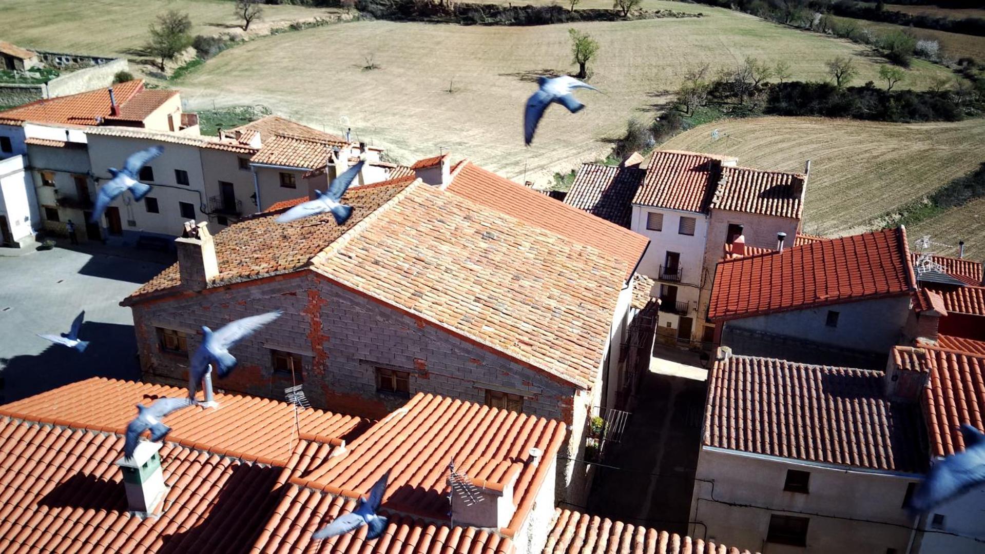 Rural puebla de san miguel Hostal Exterior foto